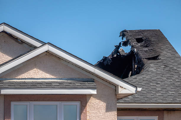 Top rated local Fire Board Up specialists in Webster, TX